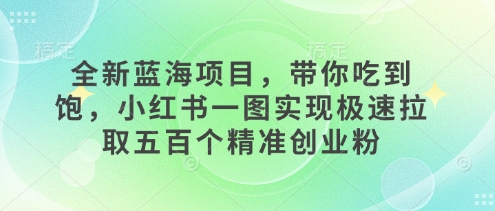 全新蓝海项目，带你吃到饱，小红书一图实现极速拉取五百个精准创业粉-乞丐的项目