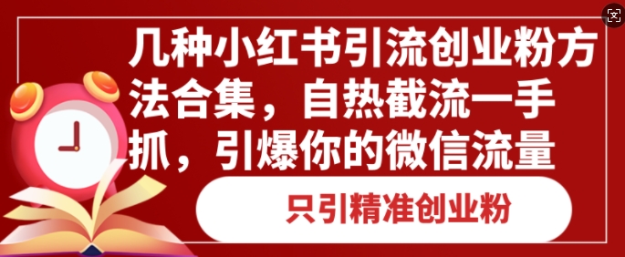 几种小红书引流创业粉方法合集，自热截流一手抓，引爆你的微信流量-乞丐的项目