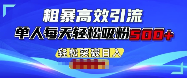 粗暴高效引流，单人每天轻松吸粉500+，轻松突破日入多张-乞丐的项目