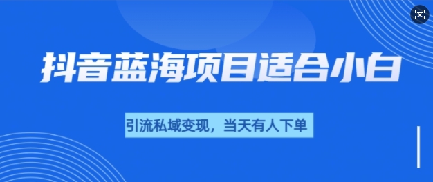 抖音蓝海小赛道私域变现项目，单价9.9单天变现100+，实操玩法分享给你-乞丐的项目