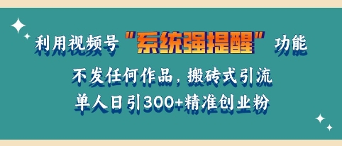 利用微信视频号系统提醒功能，引流精准创业粉，无需发布任何作品，单人单日引流300+创业粉-乞丐的项目