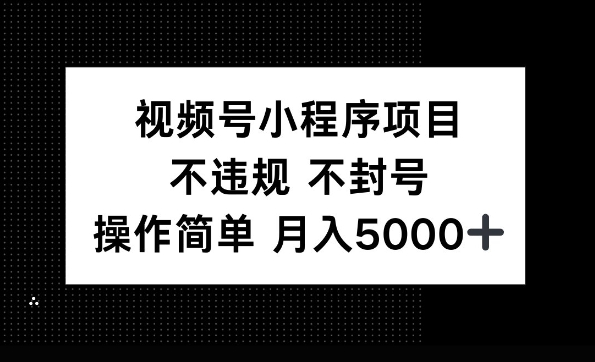 视频号小程序项目，不违规不封号，操作简单 月入5000+-乞丐的项目