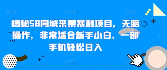 揭秘58同城采集暴利项目，无脑操作，非常适合新手小白，一部手机轻松日入-乞丐的项目