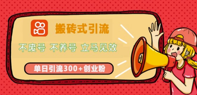 快手搬砖式引流，不废号，不养号，立马见效，单日引流300+精准创业粉-乞丐的项目