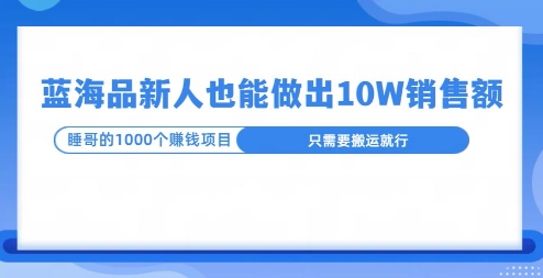 这个蓝海品，新号也能卖出10W的销售额，年底疯狂怼量就能出结果-乞丐的项目