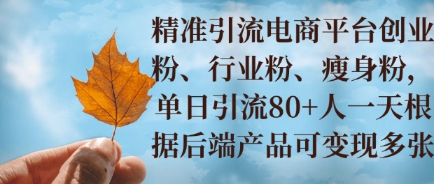 小投资撬动大收益，精准引流创业粉、行业粉，单日引流80+，一天可变现多张-乞丐的项目