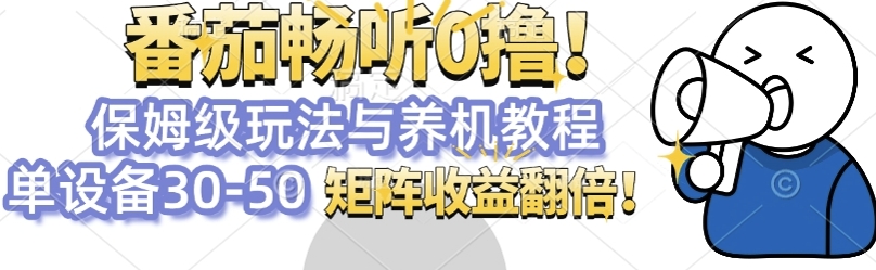 番茄畅听0撸，保姆级玩法与养机教程单设备30-50，矩阵收益翻倍-乞丐的项目