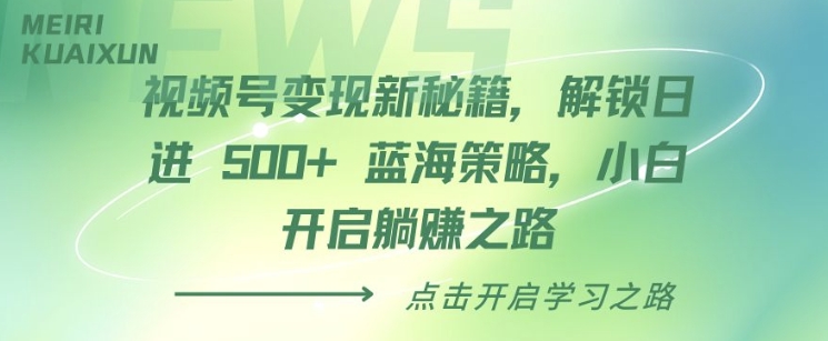 视频号变现新秘籍，解锁日进 5张 蓝海策略，小白开启躺Z之路-乞丐的项目