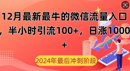 12月最新最牛的微信流量入口，半小时引流100+创业粉，日涨粉1000+-乞丐的项目