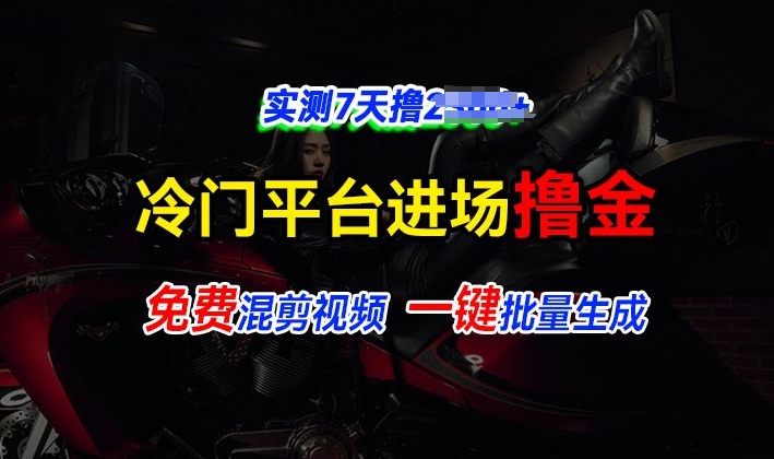 全新冷门平台视频，快速免费进场搞米，通过混剪视频一键批量生成，实测7天撸上千-乞丐的项目