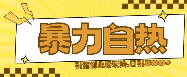 最新暴力自热引流玩法日引500+创业粉-乞丐的项目