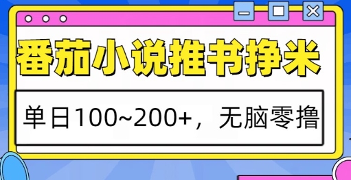 番茄小说推书挣米，单日100-200+，无脑零撸，实操流程-乞丐的项目