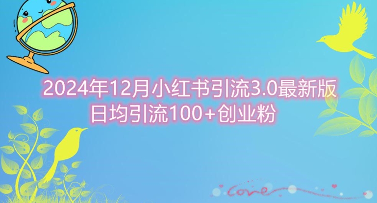 2024年12月小红书引流最新版，日均引流100+创业粉-乞丐的项目