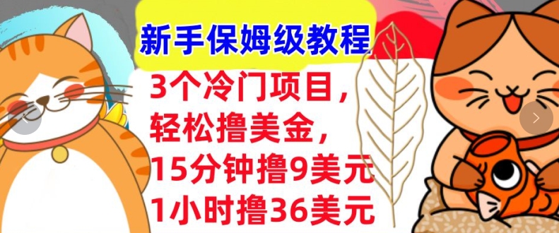 3个冷门项目，轻松撸美刀，1小时撸36刀，新手保姆级教程-乞丐的项目