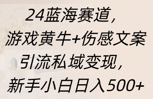 蓝海赛道，游戏黄牛+伤感文案引流私域变现，新手小白日入多张-乞丐的项目