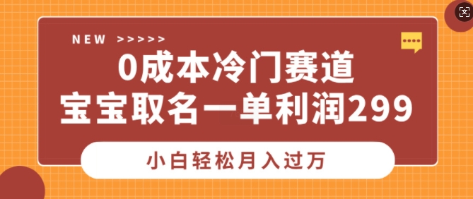 0成本冷门赛道，宝宝取名一单利润299，小白轻松月入过万-乞丐的项目