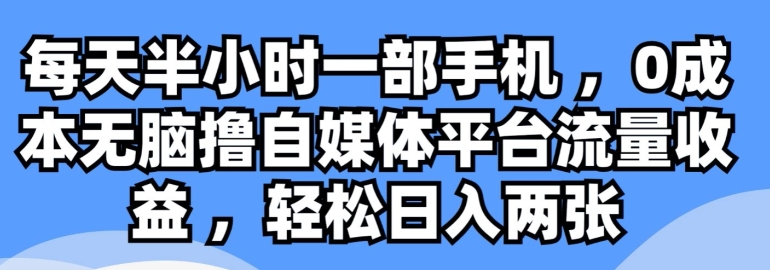 每天半小时一部手机 ，0成本无脑撸自媒体平台流量收益-乞丐的项目