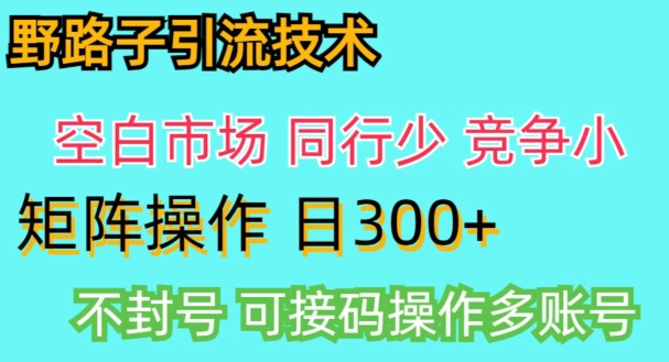 拼多多野路子引流创业粉实战教学，手动操作，用户转化率高-乞丐的项目