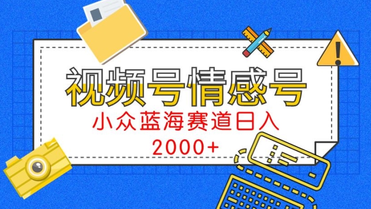 视频号情感号小众蓝海赛道，每天一小时，日入3000+-乞丐的项目