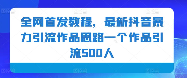 全网首发教程，最新抖音暴力引流作品思路一个作品引流500人-乞丐的项目