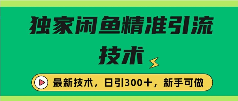 闭鱼精准引流，日引300+创业粉保姆级教程，新手可做-乞丐的项目