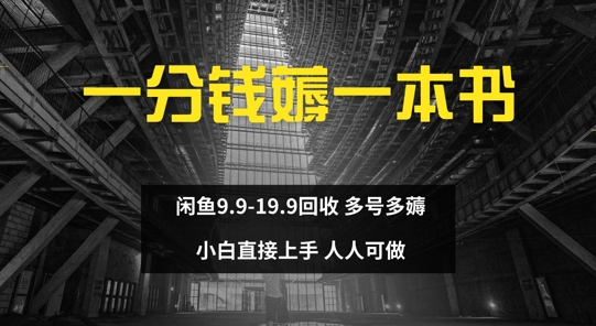 一分钱薅一本书 闲鱼9.9-19.9回收 多号多薅 小白直接上手-乞丐的项目