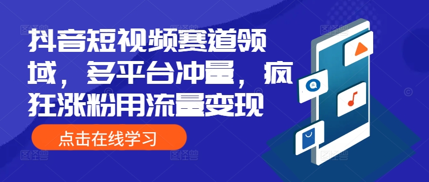 抖音短视频赛道领域，多平台冲量，疯狂涨粉用流量变现-乞丐的项目