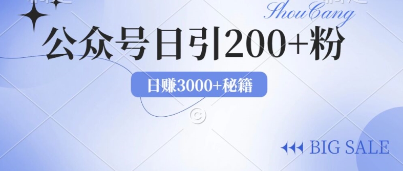 2024年用AI洗稿公众号日引流200+创业粉-乞丐的项目