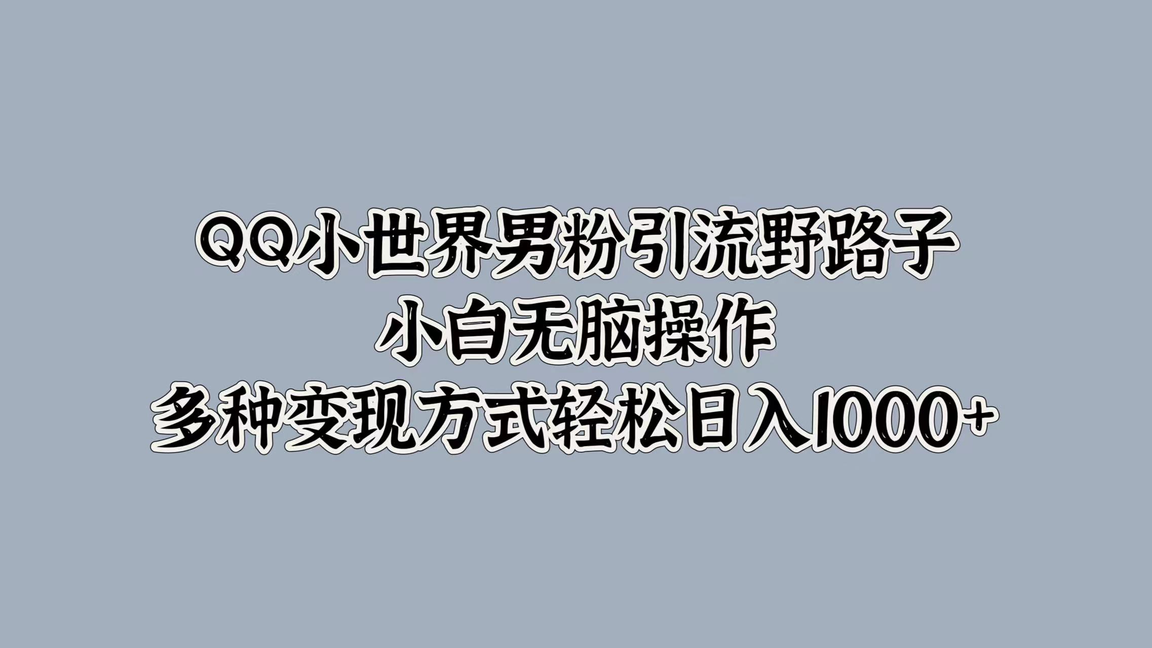 QQ小世界男粉引流野路子，小白无脑操作，多种变现方式-乞丐的项目