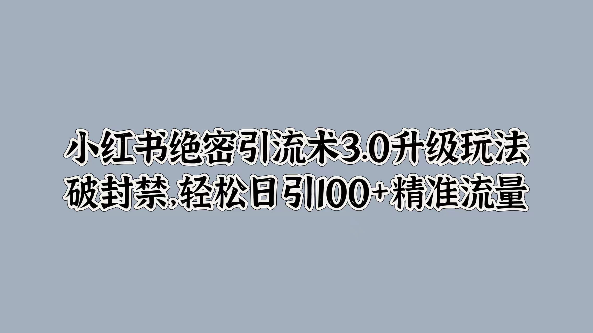 小红书绝密引流术3.0升级玩法，破封禁，轻松日引100+精准流量-乞丐的项目