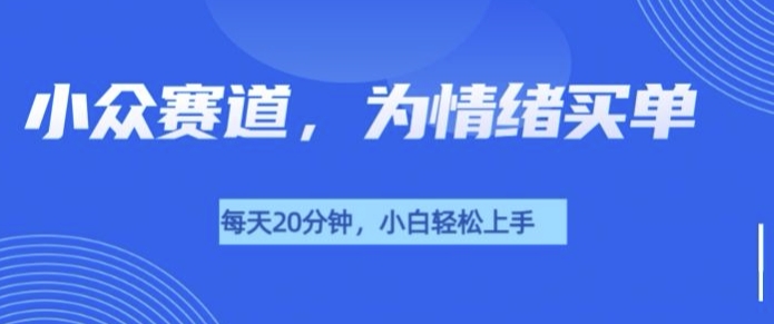 小众赛道，我的治愈系电子抱枕，让用户为情绪买单-乞丐的项目