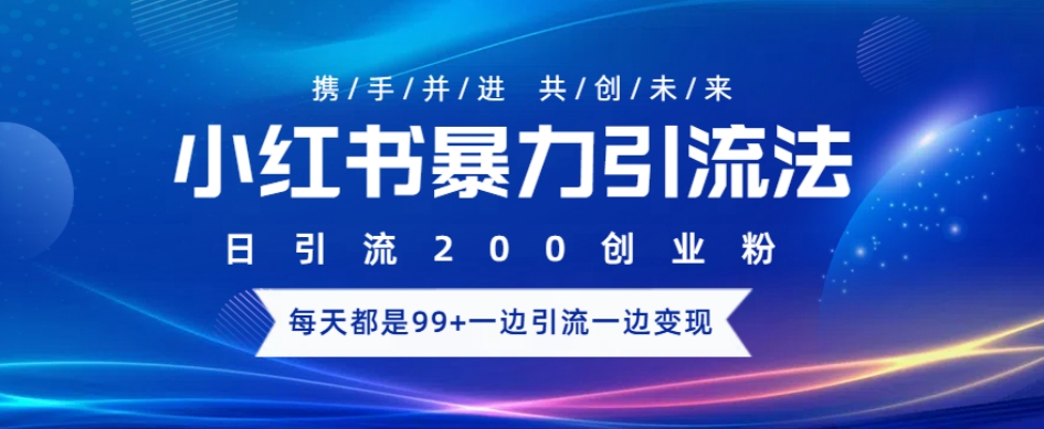 小红书暴力引流法，日引200精准创业粉，每天都是99+，边引流一边变现-乞丐的项目