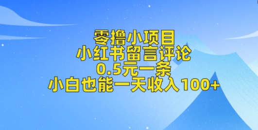 零撸小项目，小红书留言评论，0.5元一条，小白也能一天收入100+-乞丐的项目