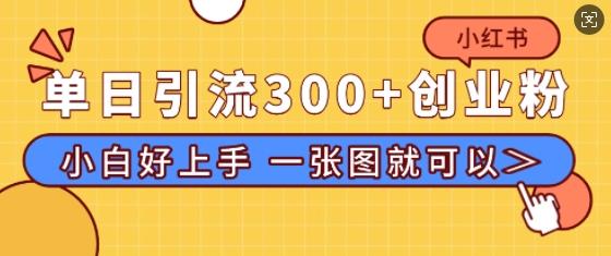 小红书单日引流300+创业粉，“简单粗暴”引流法，小白好上手，私信回不完-乞丐的项目