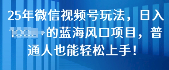 25年微信视频号玩法，日入几张的蓝海风口项目，普通人也能轻松上手!-乞丐的项目